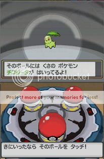 image4.png