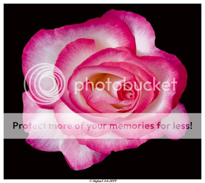 Fotografie