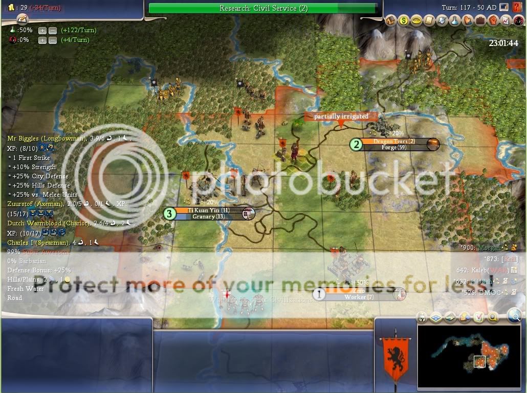 t117barbs.jpg