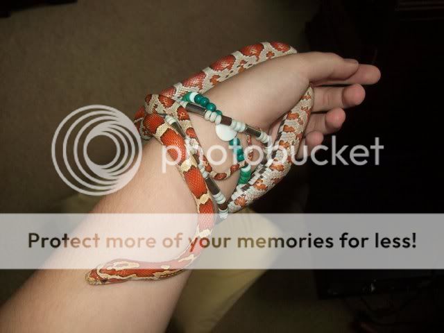100_3228.jpg