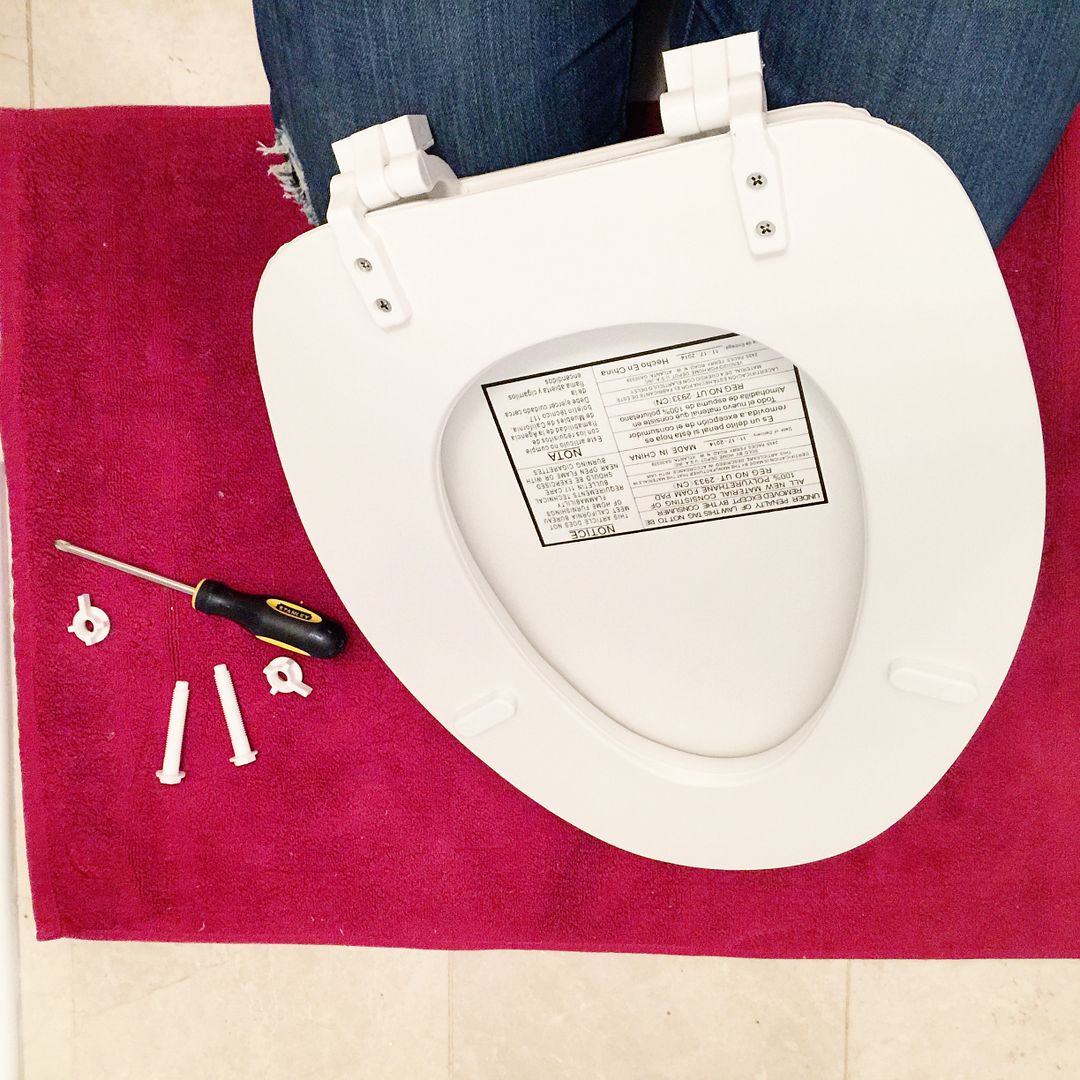 How to change a Toilet Seat Bower Power